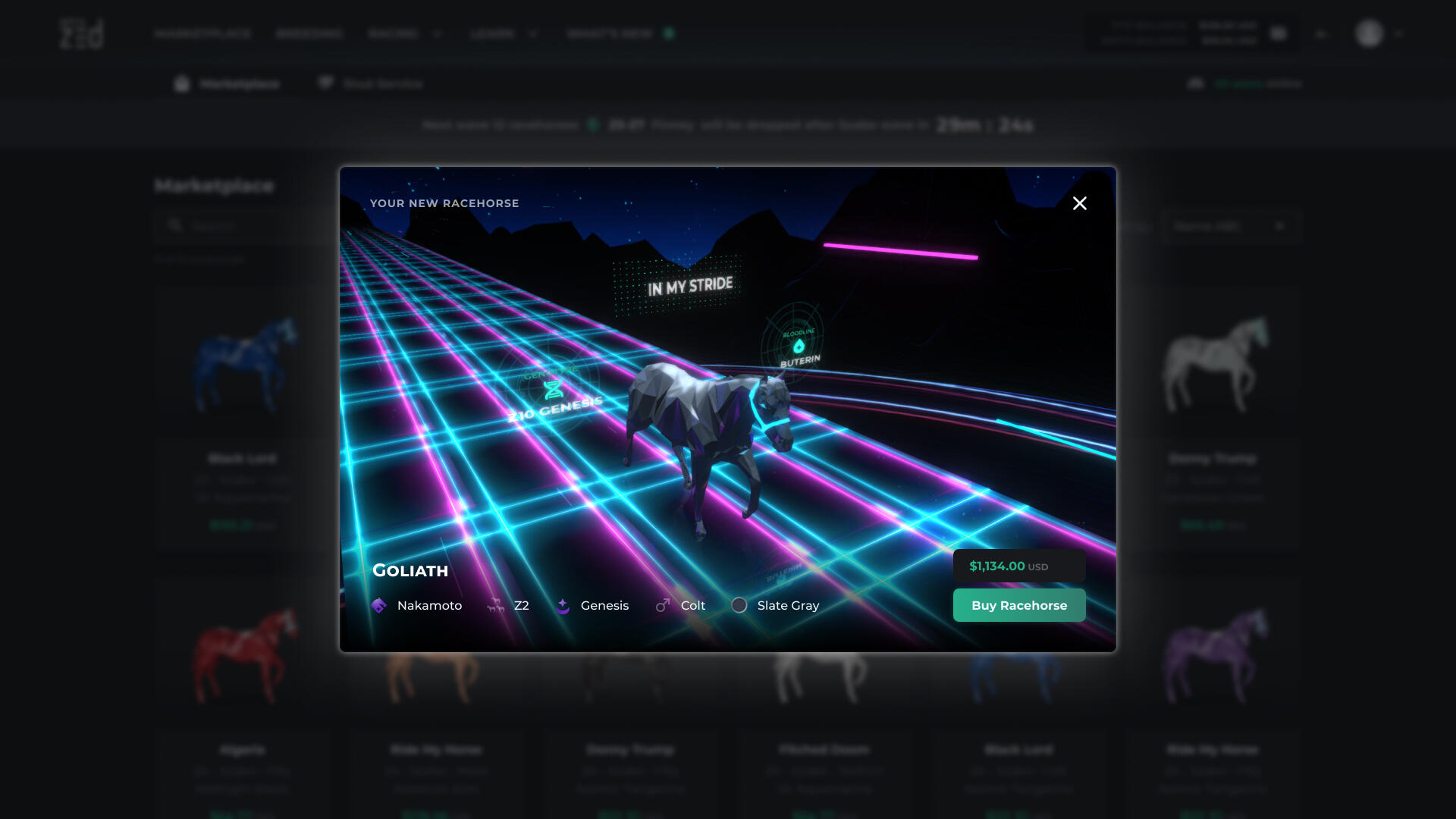 Case image thumbnail 10